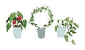 Set of hand drawn house indoor plants. Royalty Free Stock Photo